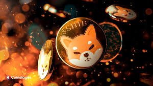 Shiba Inu whales are accumulating SHIB. Do they know something you don’t?